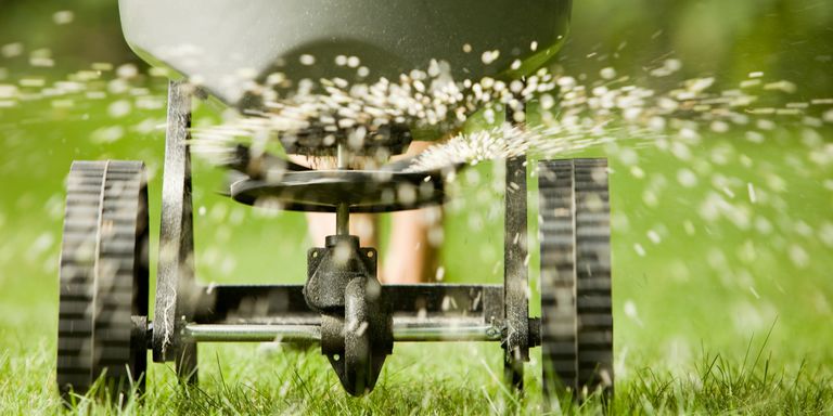 When To Feed Grass In The Spring To Keep It Greener - Rootkit Trends