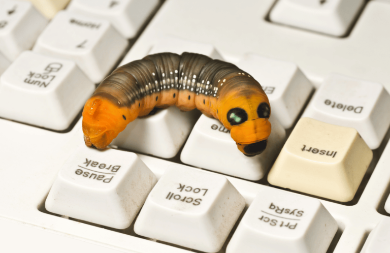 Peacomm Worm: Understanding the Threat and Its Impact on Cybersecurity