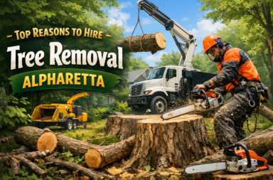 Tree Removal