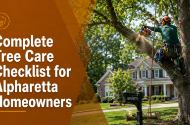 Tree Care