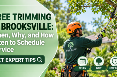 Tree trimming in Brooksville