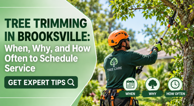 Tree trimming in Brooksville