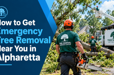 tree removal